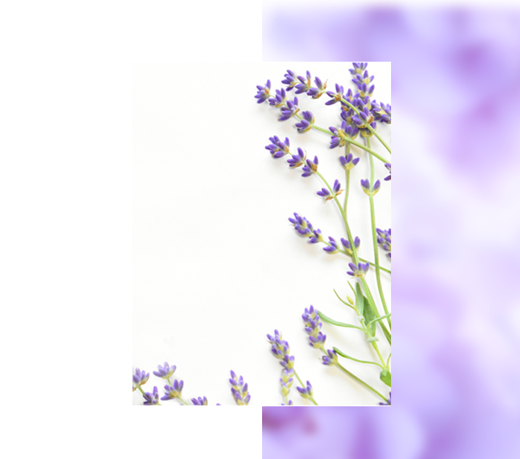 ストレスから突然死したり病気になる男性を、アロマの力で日本中からなくしたい。